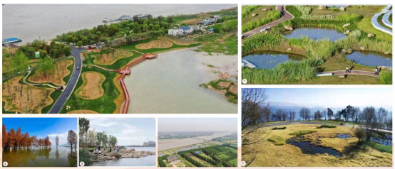 优秀书记项目│交通产业Trust钱包科技：“一路先锋”助推高质量开展阔步前行